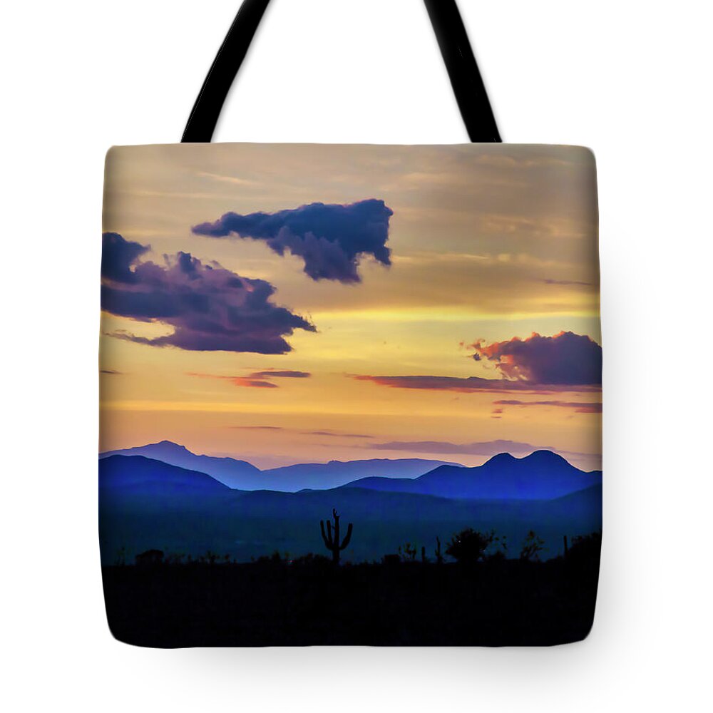 Saguaro Tote Bag featuring the photograph Bastard blues by Micah Offman