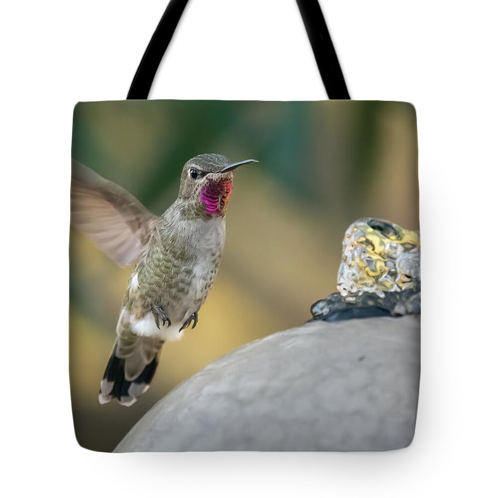 Nature Tote Bag featuring the photograph Bathtime by Laura Macky