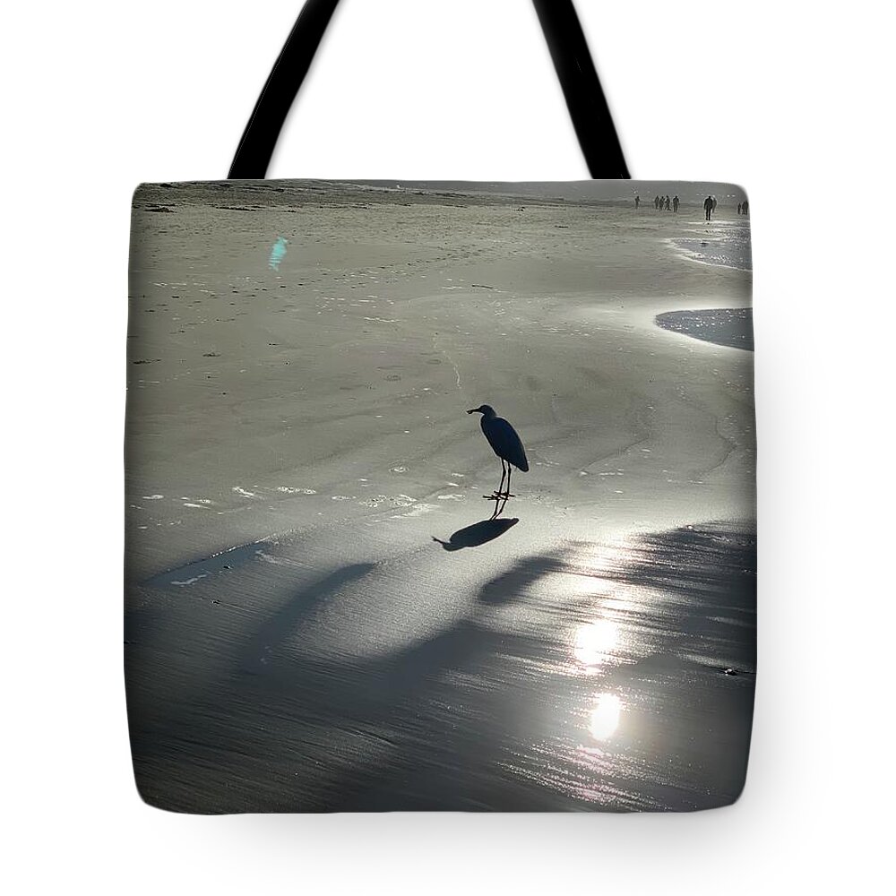 Ocean Tote Bag featuring the photograph Beach Bird Silhouette by Sandy Rakowitz