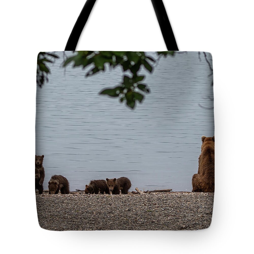 Bear Tote Bag featuring the photograph Beach Day by Randy Robbins