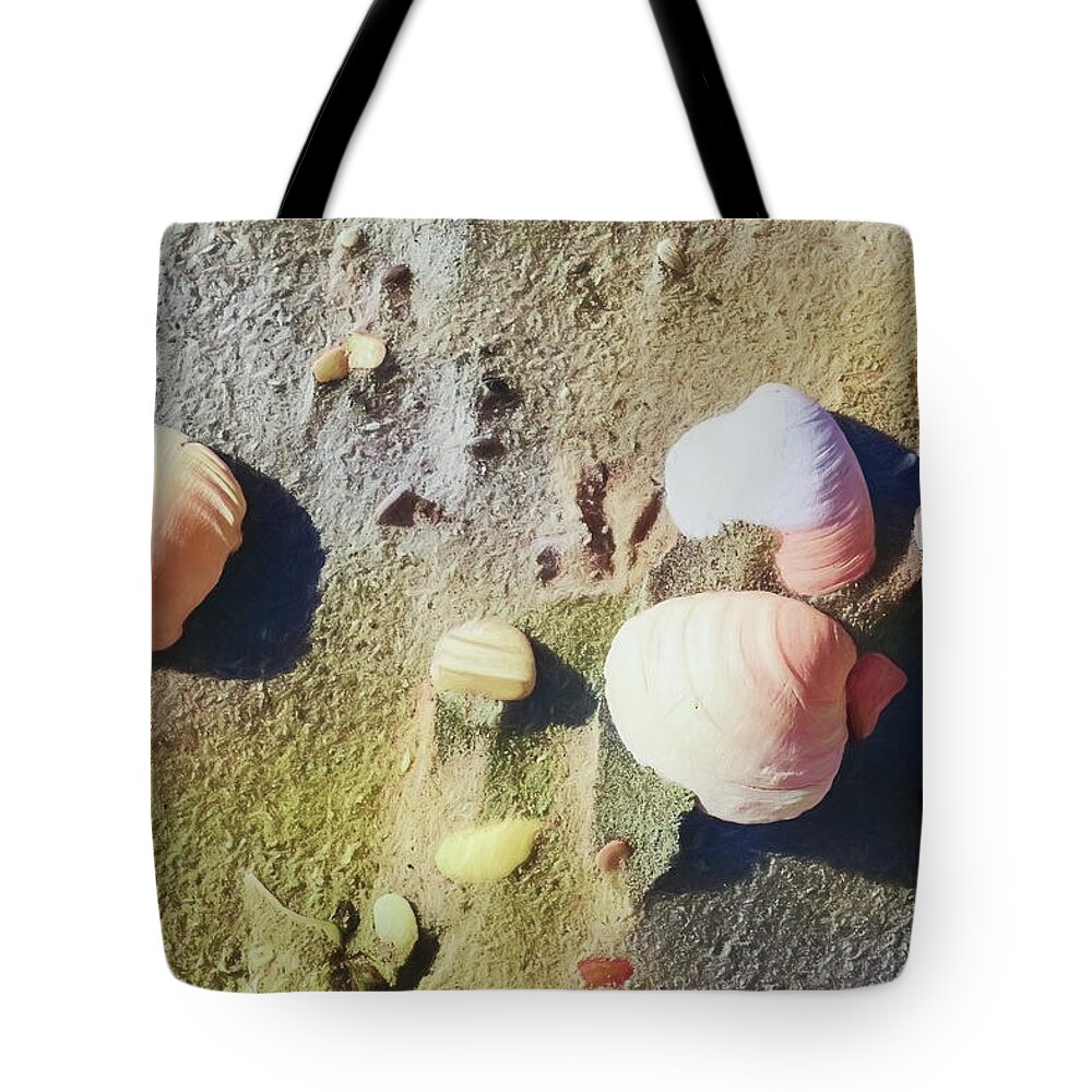 Beach Tote Bag featuring the photograph Beach ocean coast Seashells ap 405 by Dan Carmichael