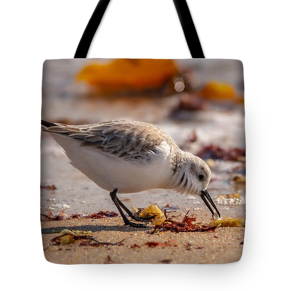 Shore Bird Tote Bag featuring the photograph Beach Salad by Linda Bonaccorsi