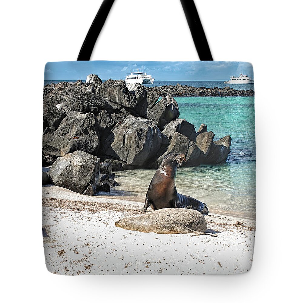 Animals In The Wild Tote Bag featuring the photograph Beach with sea lions - Espanola island - Galapagos by Henri Leduc