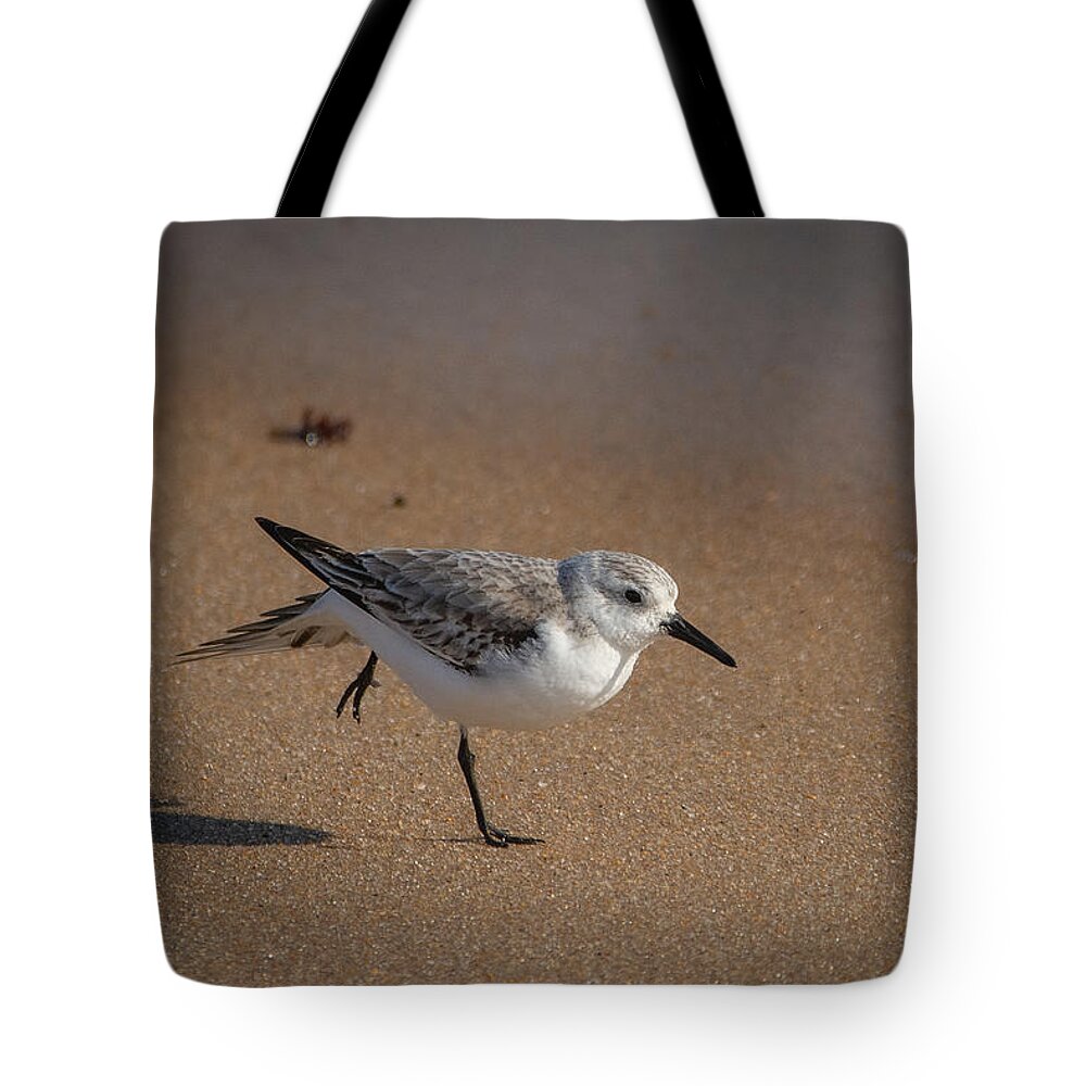 Bird Tote Bag featuring the photograph Beach Yoga by Linda Bonaccorsi