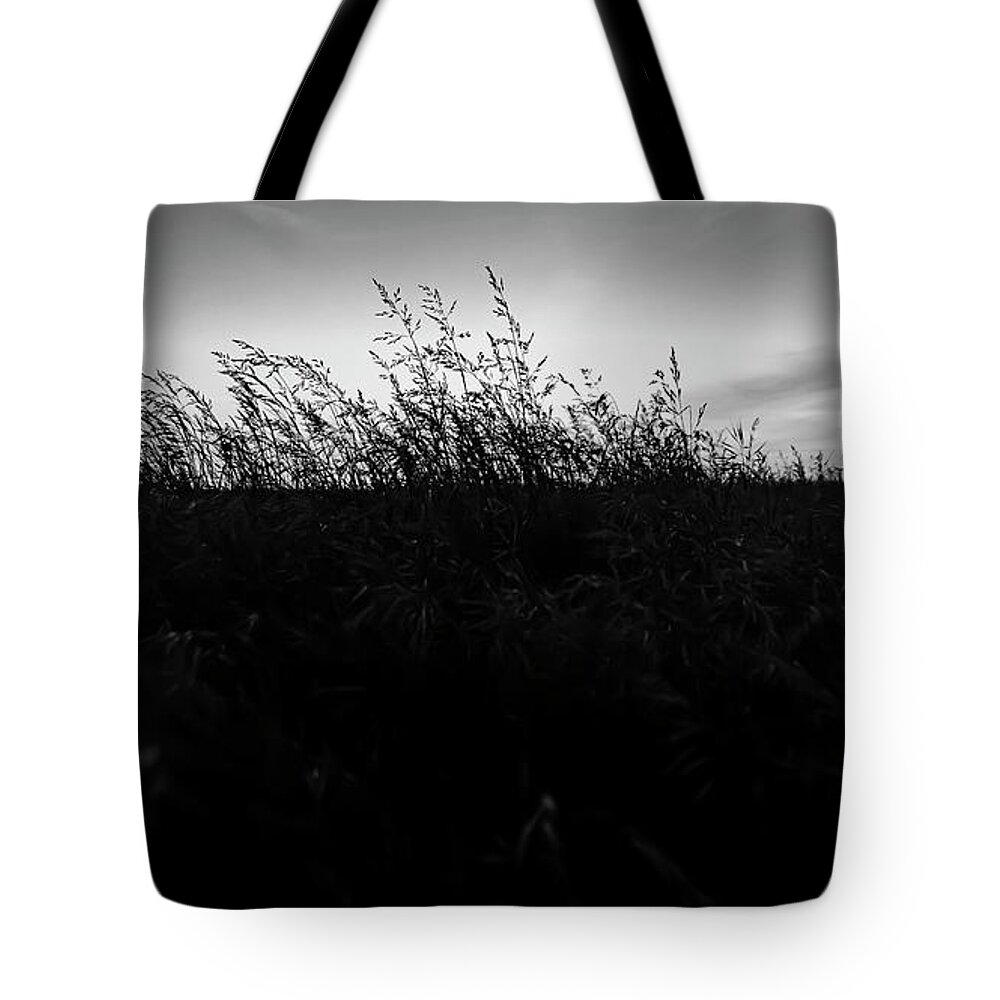 Sand Dunes Tote Bag featuring the photograph Beachgrass Sunset Black and White by Pelo Blanco Photo