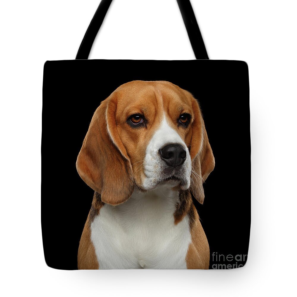 Beagle Puppies Tote Bags