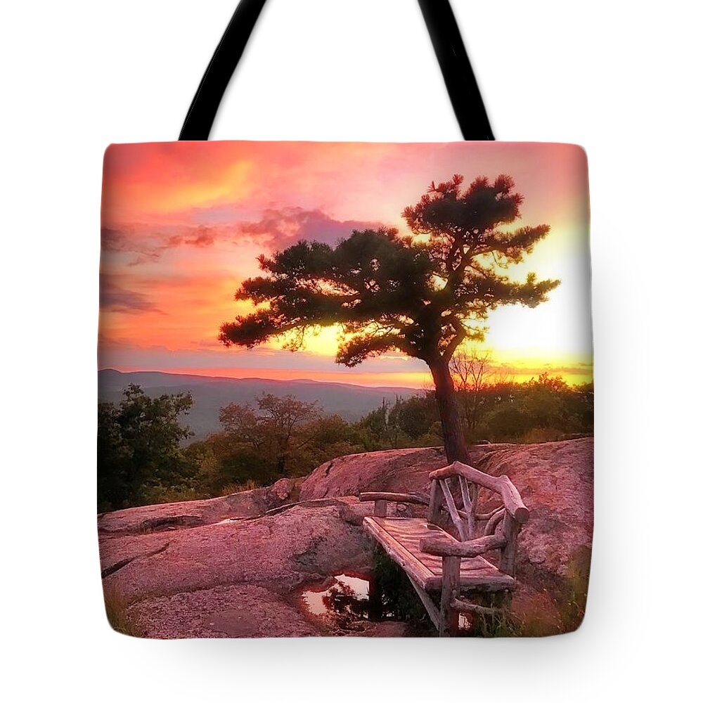  Tote Bag featuring the photograph Bear Mountain by Lorella Schoales