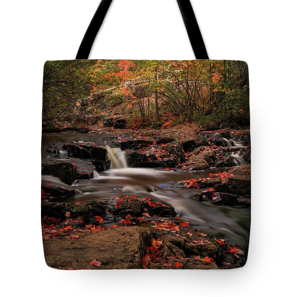 Beautiful Autumn Cascades Tote Bag featuring the photograph Beautiful Autumn Cascades by Dan Sproul