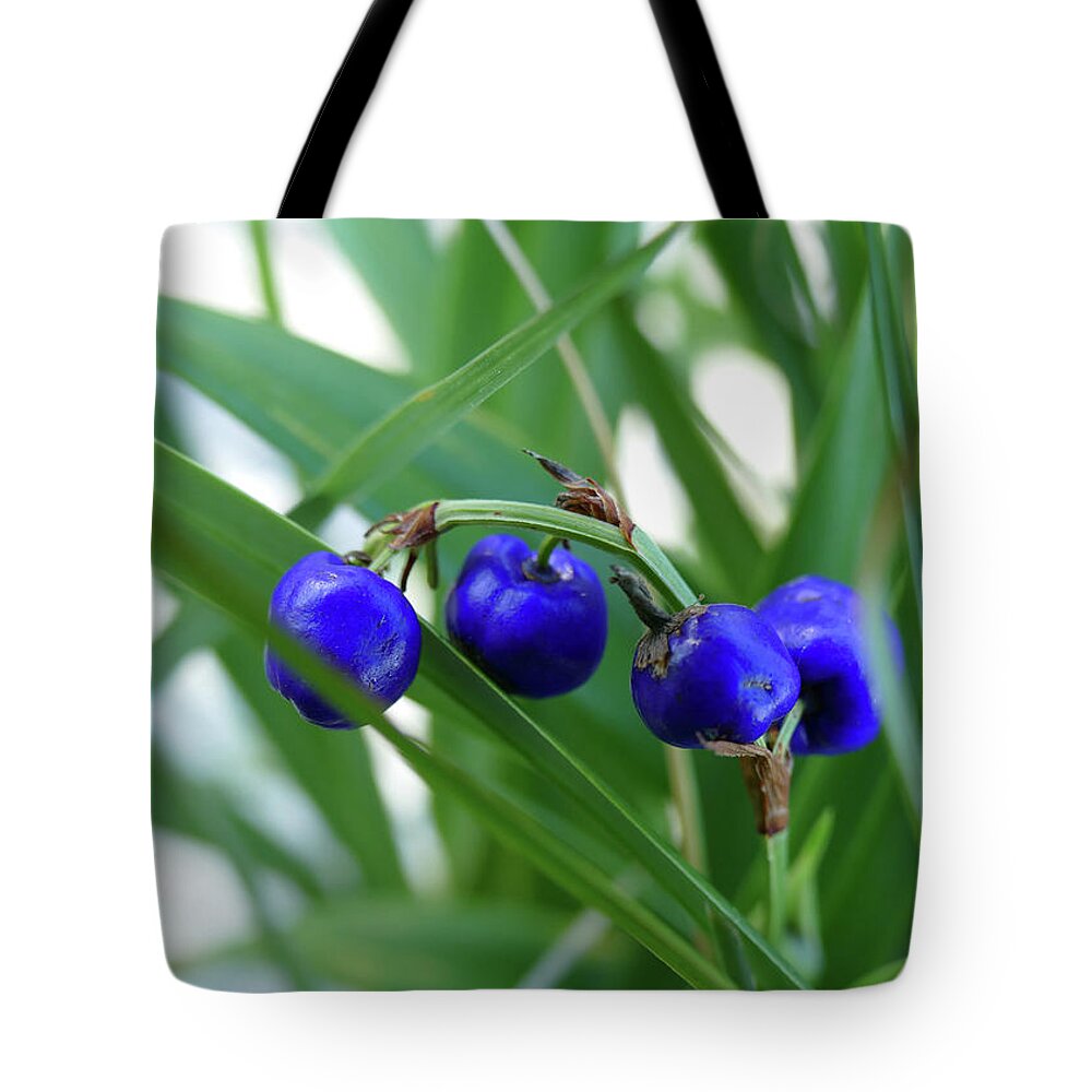 Plants Tote Bag featuring the photograph Beautiful Blue Berries by Maryse Jansen