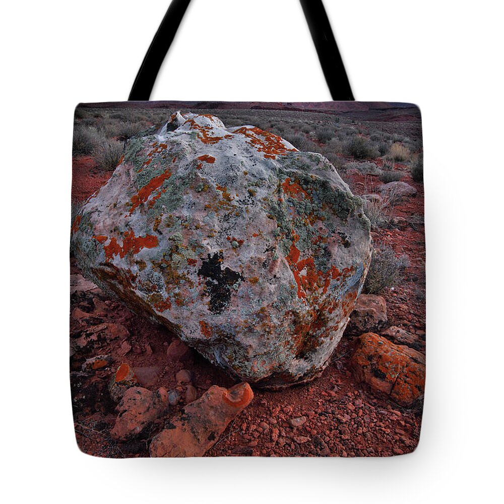 Utah Tote Bag featuring the photograph Beautiful Boulders in Castle Valley by Ray Mathis