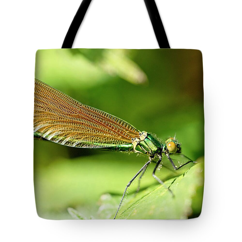 Beautiful Demoiselle Tote Bag featuring the photograph Beautiful Demoiselle by Tony Mills