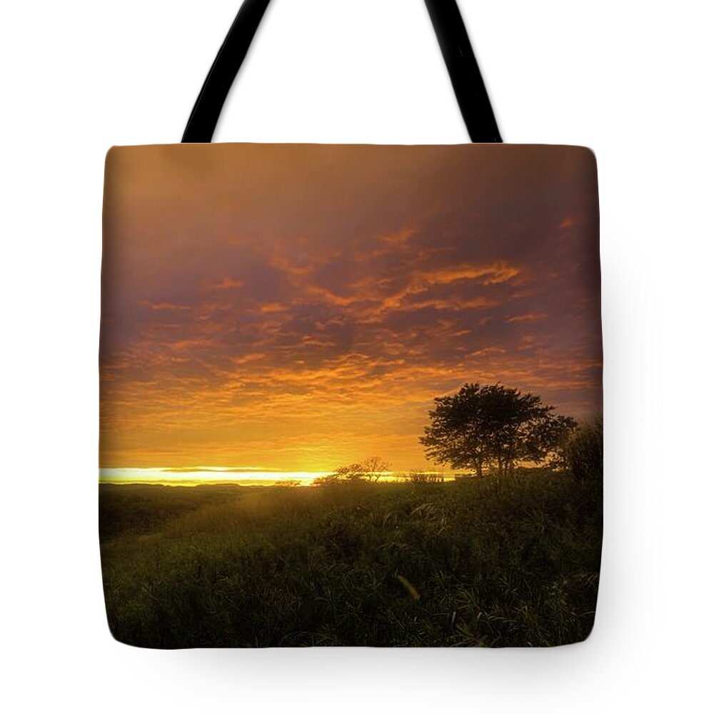 Trexler Tote Bag featuring the photograph Beautiful Light on the Trexler Nature Preserve by Jason Fink