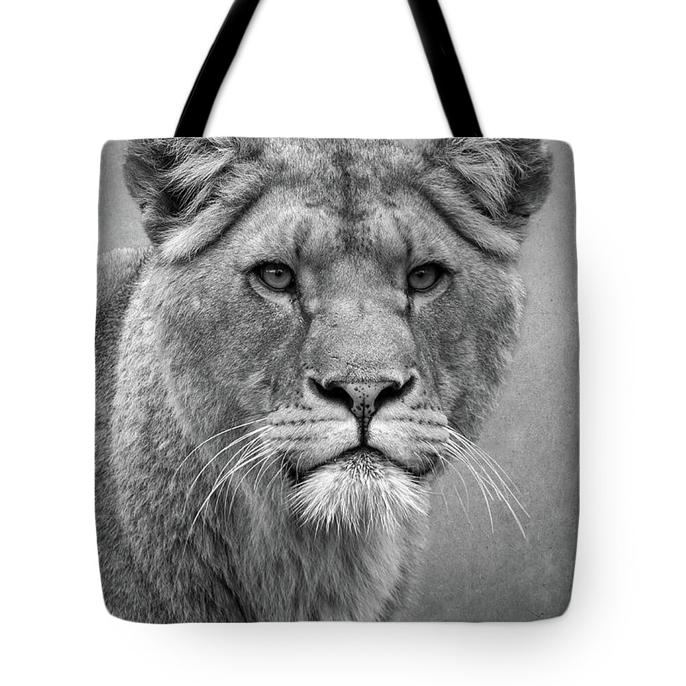 Lions Tote Bag featuring the digital art Beautiful lioness in black and white by Marjolein Van Middelkoop
