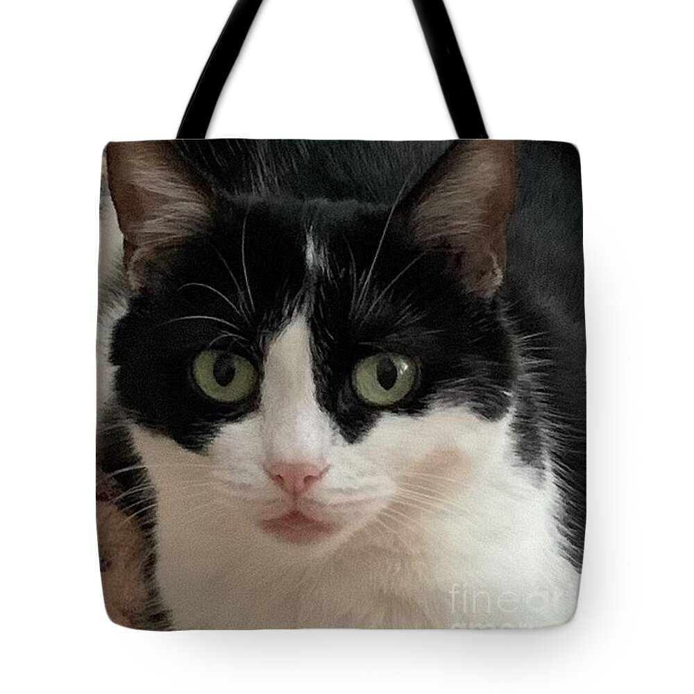 Beautiful Cat Face Tote Bag featuring the photograph Beautiful Mia by Elaine Hayward