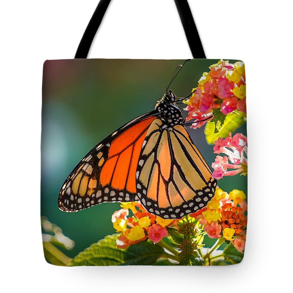 Monarch Tote Bag featuring the photograph Beautiful Monarch by Susan Rydberg