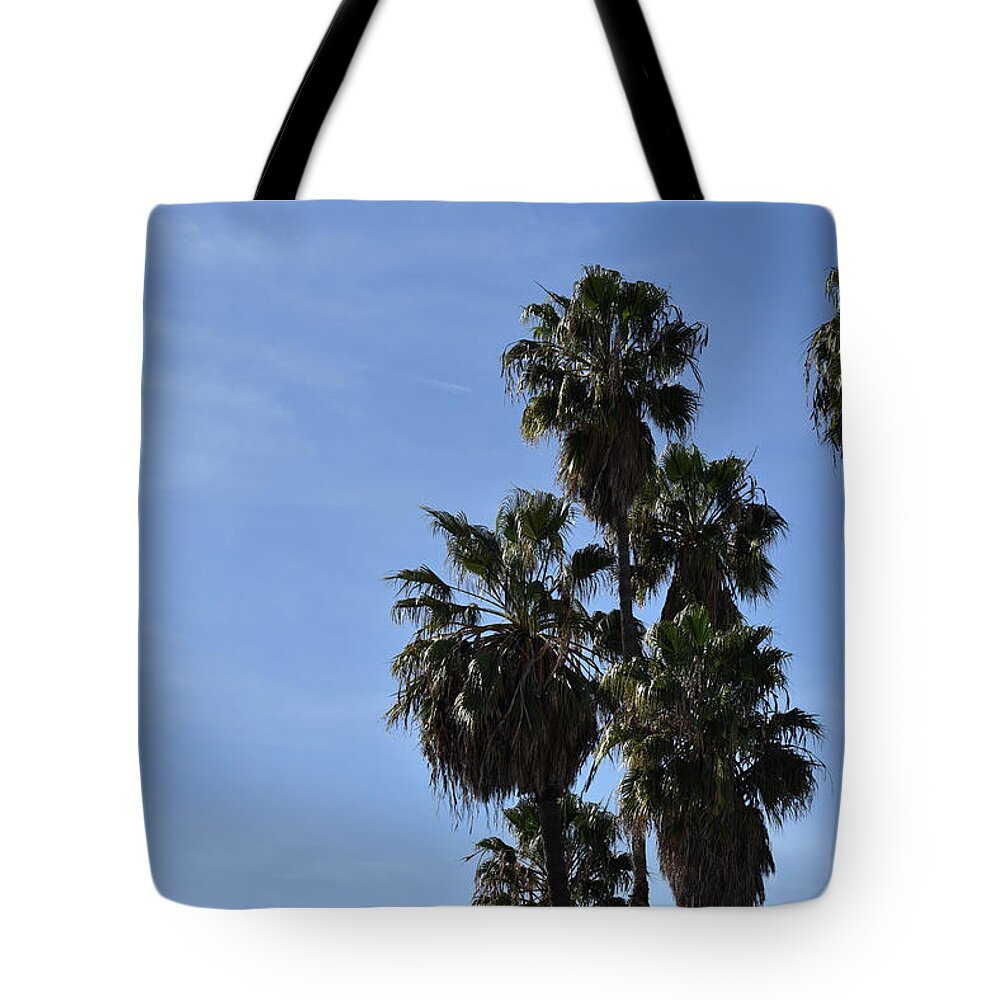 Palm Tote Bag featuring the photograph Beautiful palm trees against a clear blue sky by Mark Stout