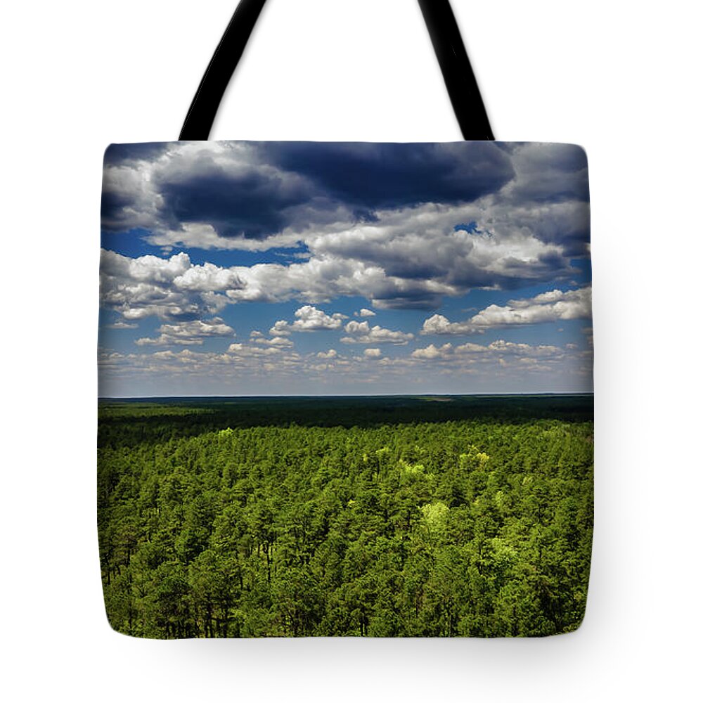 Franklin Parker Preserve Tote Bag featuring the photograph Beautiful Pine Barrens Landscape by Louis Dallara