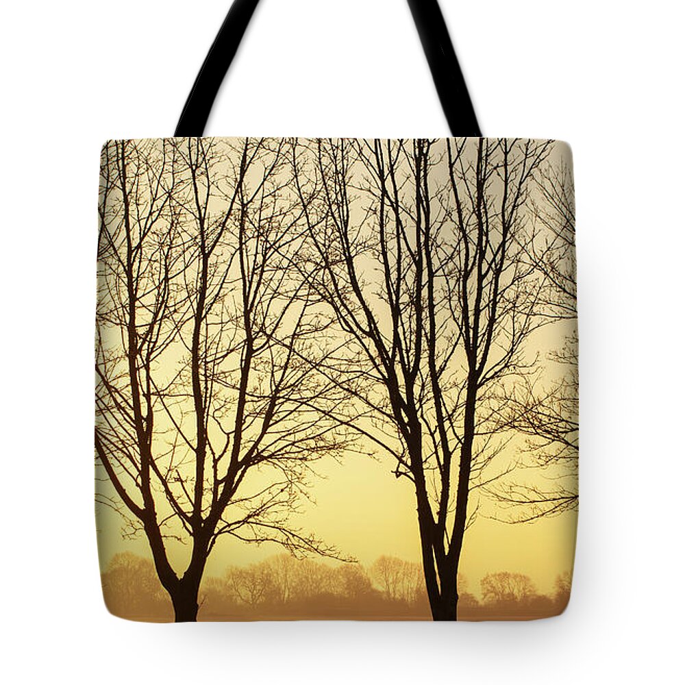 Sunset Tote Bag featuring the photograph Beautiful winter sunset though bare trees in Norfolk by Simon Bratt