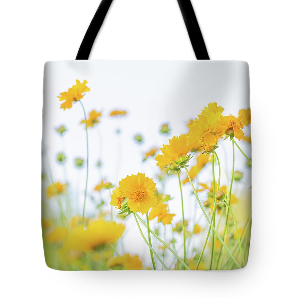 Yellow Tote Bag featuring the photograph Beautiful Yellow Flowers by Katie Dobies