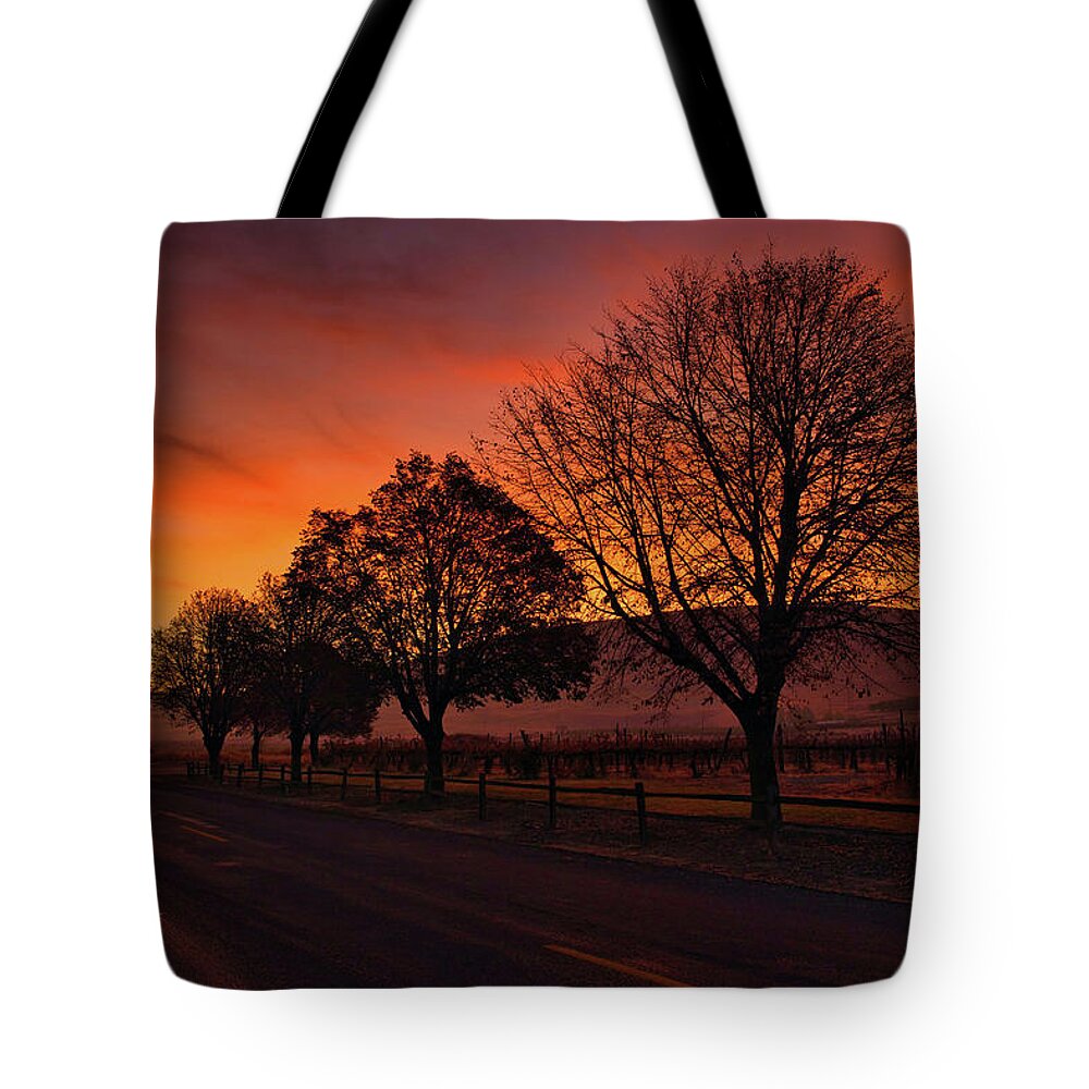 Beauty At Sunrise Tote Bag featuring the photograph Beauty at Sunrise by Lynn Hopwood