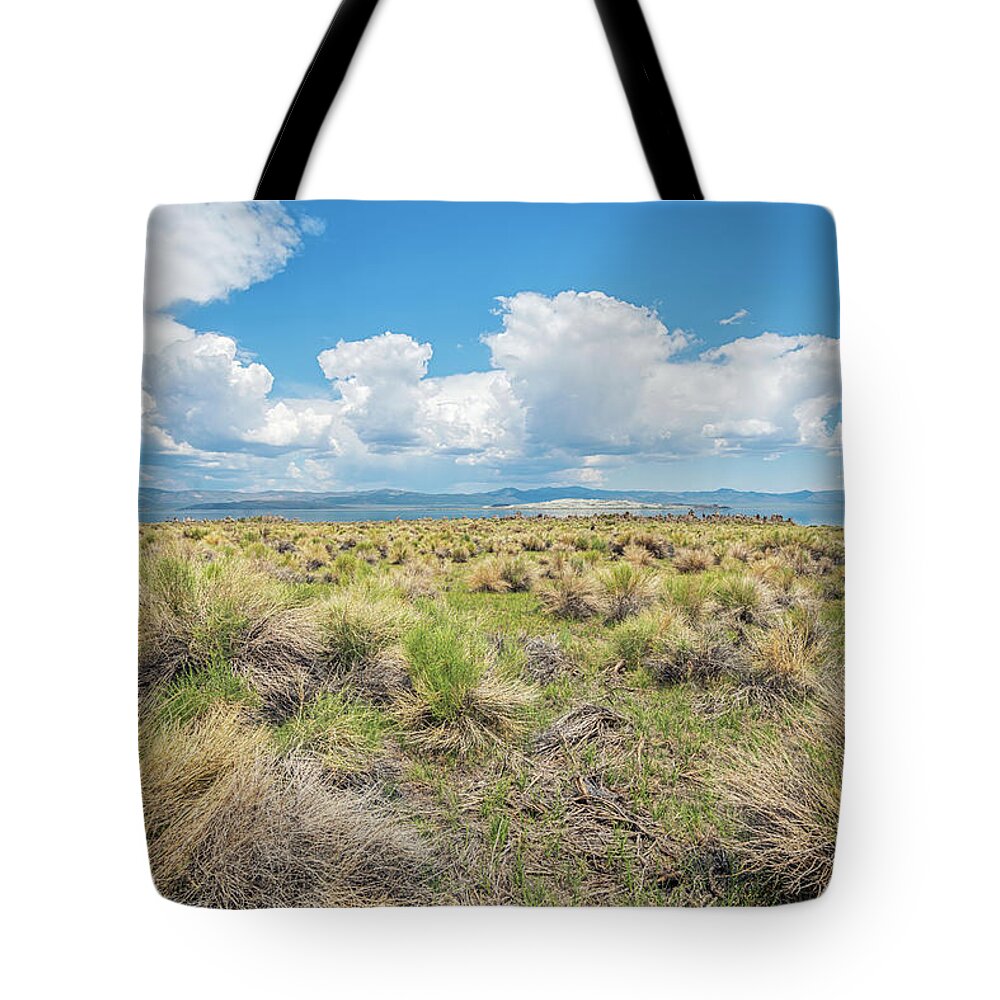 Nature Tote Bag featuring the photograph Beauty Forever At Mono Lake by Joseph S Giacalone