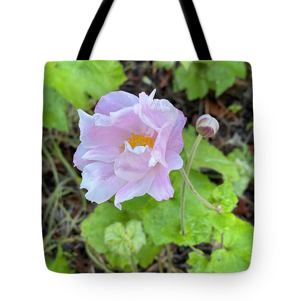 Flower Tote Bag featuring the photograph Beauty in a Blossom by Gerald Carpenter