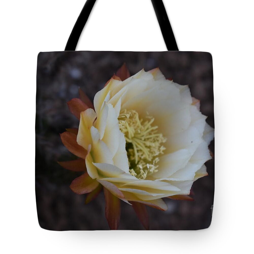 Cactus Flower Tote Bag featuring the digital art Beauty in Darkness by Yenni Harrison