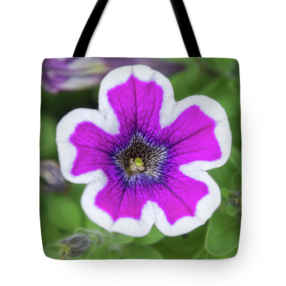 Debra Martz Tote Bag featuring the photograph Beauty of A Garden Petunia by Debra Martz