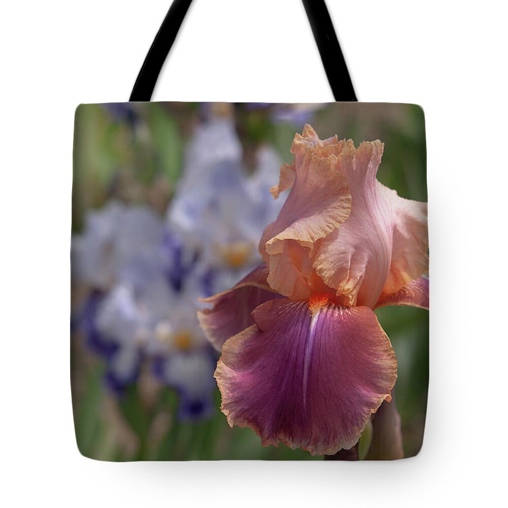 Jenny Rainbow Fine Art Photography Tote Bag featuring the photograph Beauty Of Irises. Carnaby by Jenny Rainbow