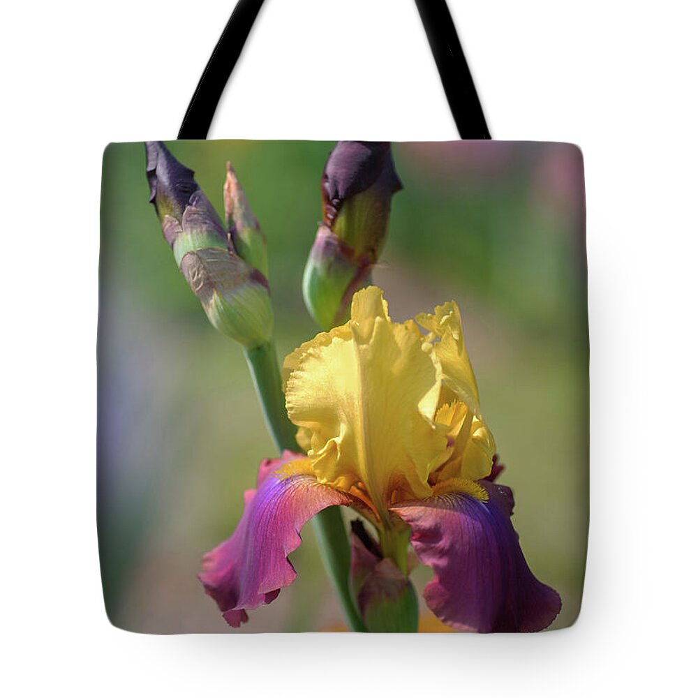Jenny Rainbow Fine Art Photography Tote Bag featuring the photograph Beauty Of Irises. Milestone 1 by Jenny Rainbow