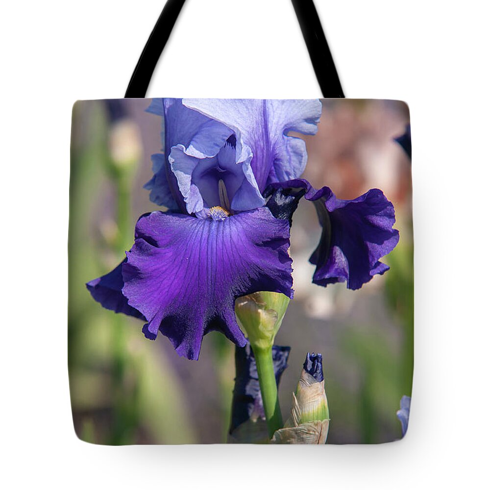 Jenny Rainbow Fine Art Photography Tote Bag featuring the photograph Beauty Of Irises. Mystique by Jenny Rainbow