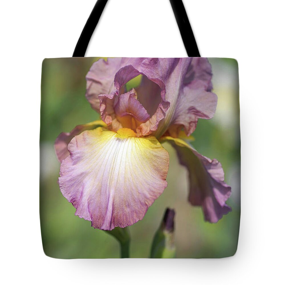 Jenny Rainbow Fine Art Photography Tote Bag featuring the photograph Beauty Of Irises. Souzvuk 1 by Jenny Rainbow