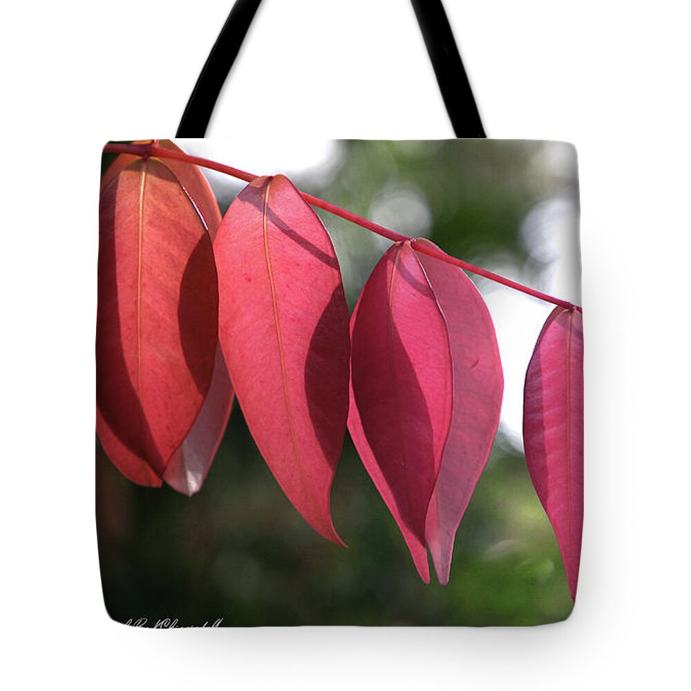 Nature Photography Tote Bag featuring the digital art Beauty of nature 161 by Kevin Chippindall