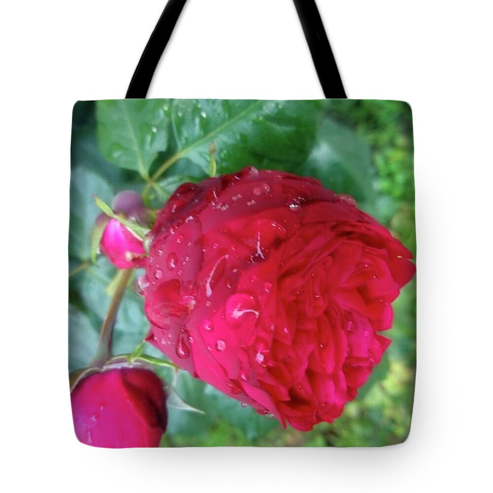 Raindrops Tote Bag featuring the photograph Beauty Of Red Rose II by Leonida Arte