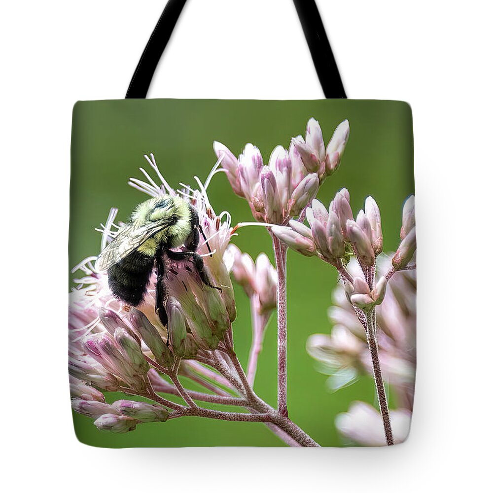 Bee Tote Bag featuring the photograph Bee and Flowers-4 by John Kirkland