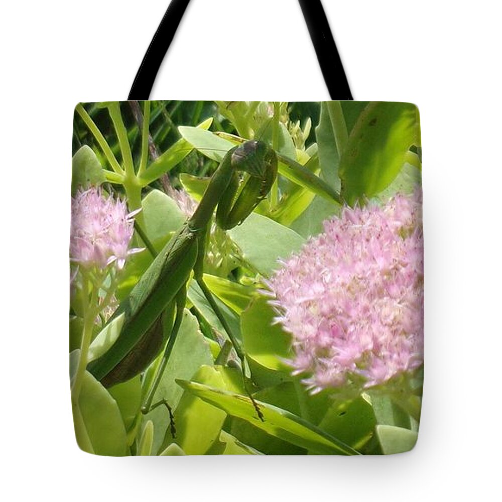 Bee Tote Bag featuring the photograph Bee and Mantis by Christopher Reed