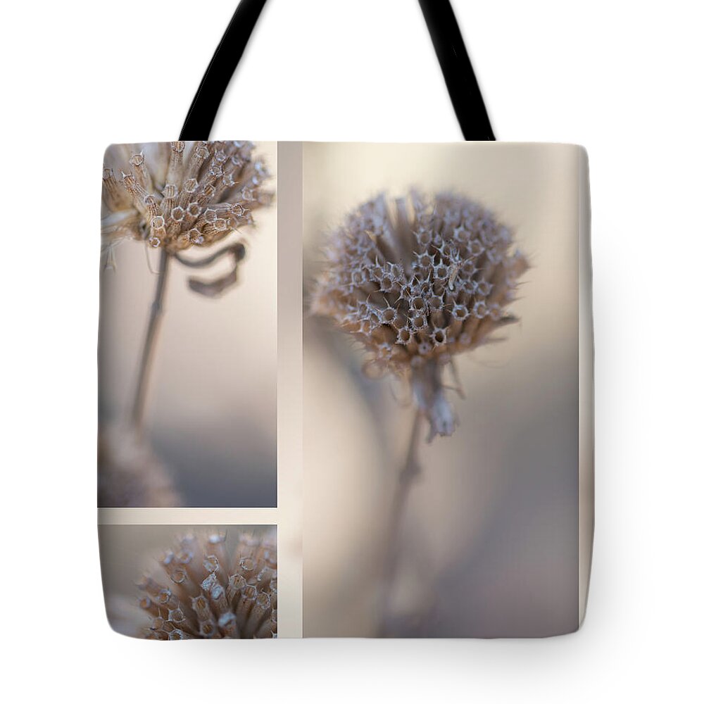 Taupe Tote Bag featuring the photograph Bee Balm by Karen Rispin