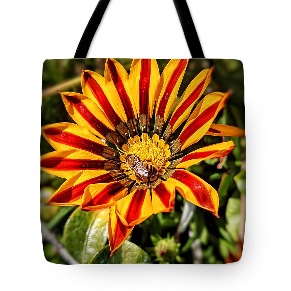 Bee Tote Bag featuring the photograph Bee in Flower by Dave Zumsteg