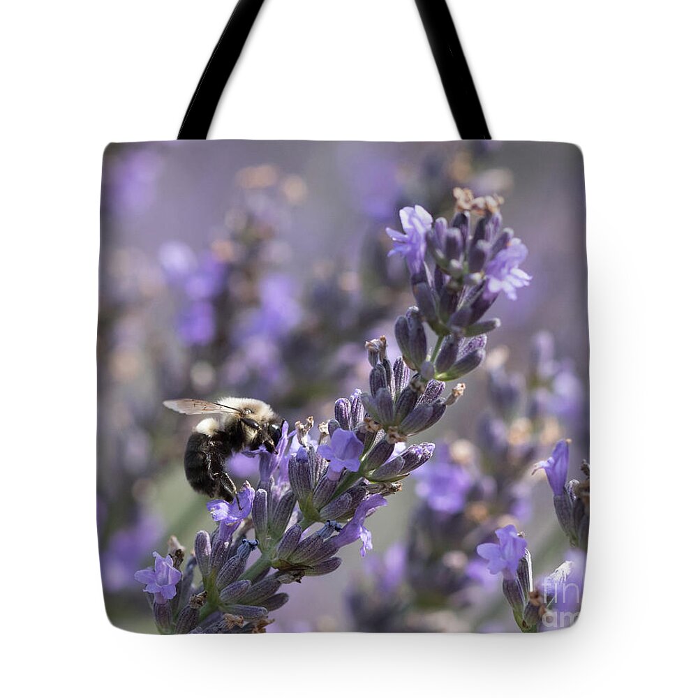 Bee Tote Bag featuring the photograph Bumblebee on Lavender III by Lorraine Cosgrove