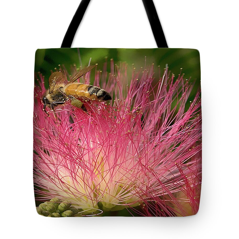 Photograph Tote Bag featuring the photograph Bee on Mimosa Flower by Beverly Read
