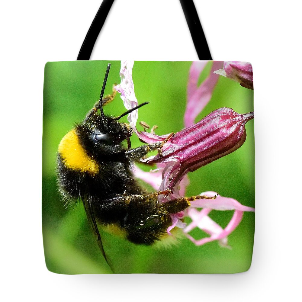 Bee Tote Bag featuring the photograph Bee On Orchid by Neil R Finlay