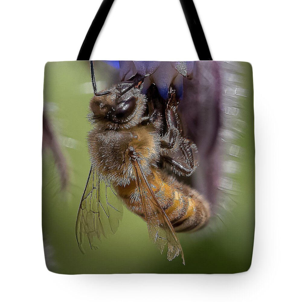 Honeybee Tote Bag featuring the photograph Bee on Starflower by Cheri Freeman