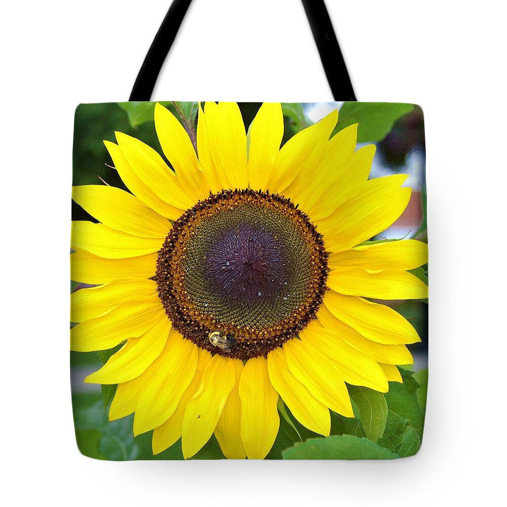Orange Tote Bag featuring the photograph Bee on Sunflower 8 by James Cousineau