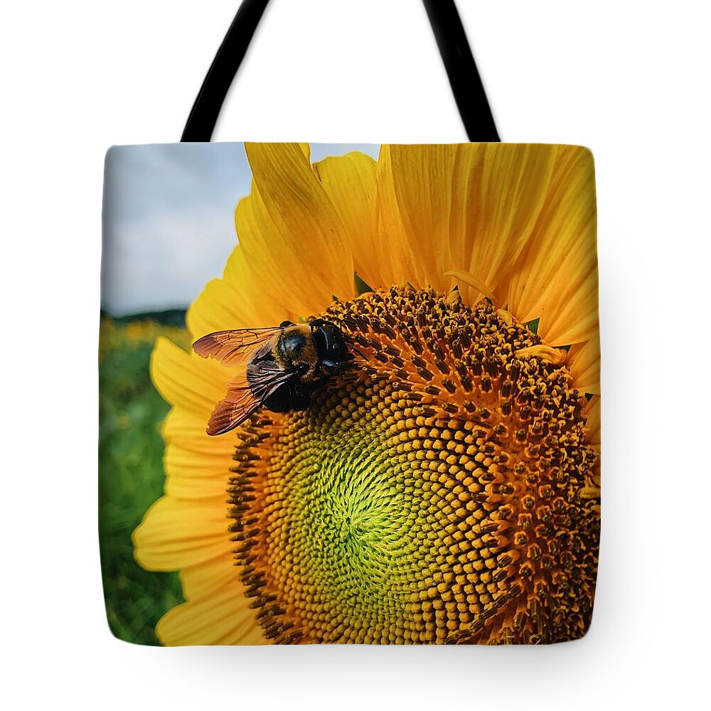 Bee Tote Bag featuring the photograph Bee on Sunflower by Rick Nelson