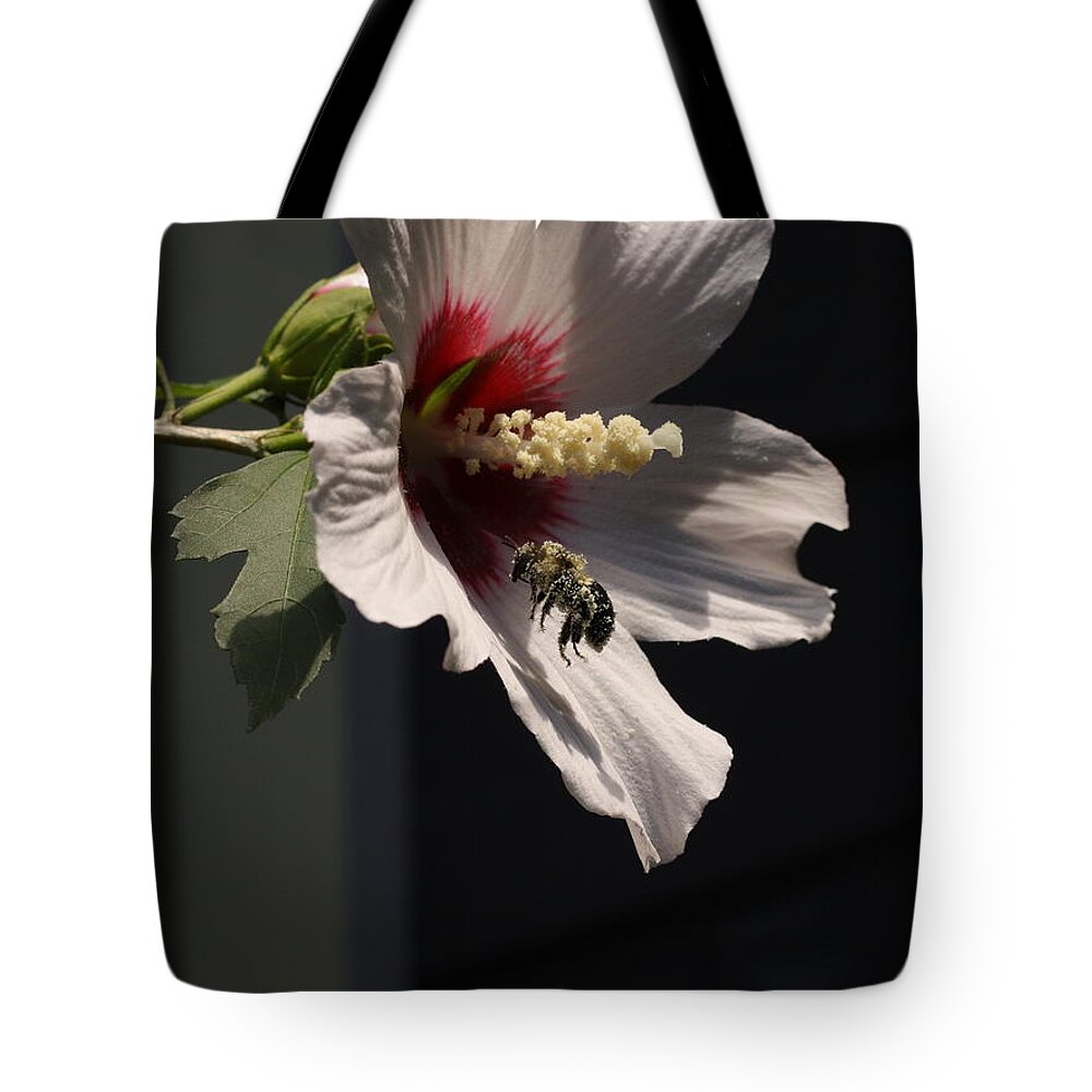Nature Tote Bag featuring the digital art Bee pollen collector by Kathleen Illes