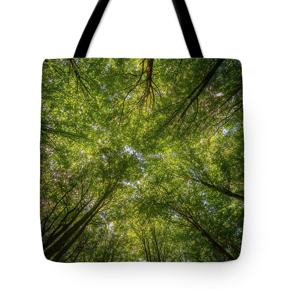 Vertical Perspective Tote Bags
