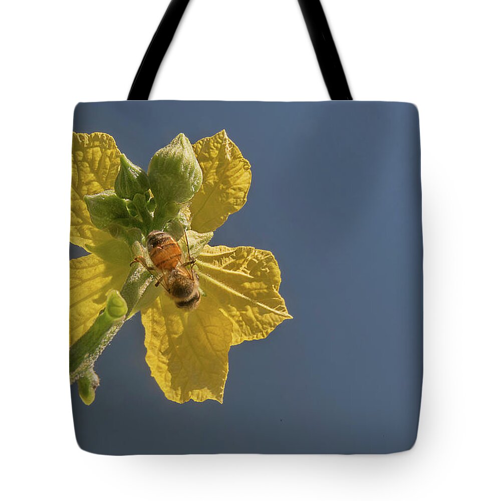 Yellow Flower Tote Bag featuring the photograph Yellow Flower in the Blue Sky by Puttaswamy Ravishankar
