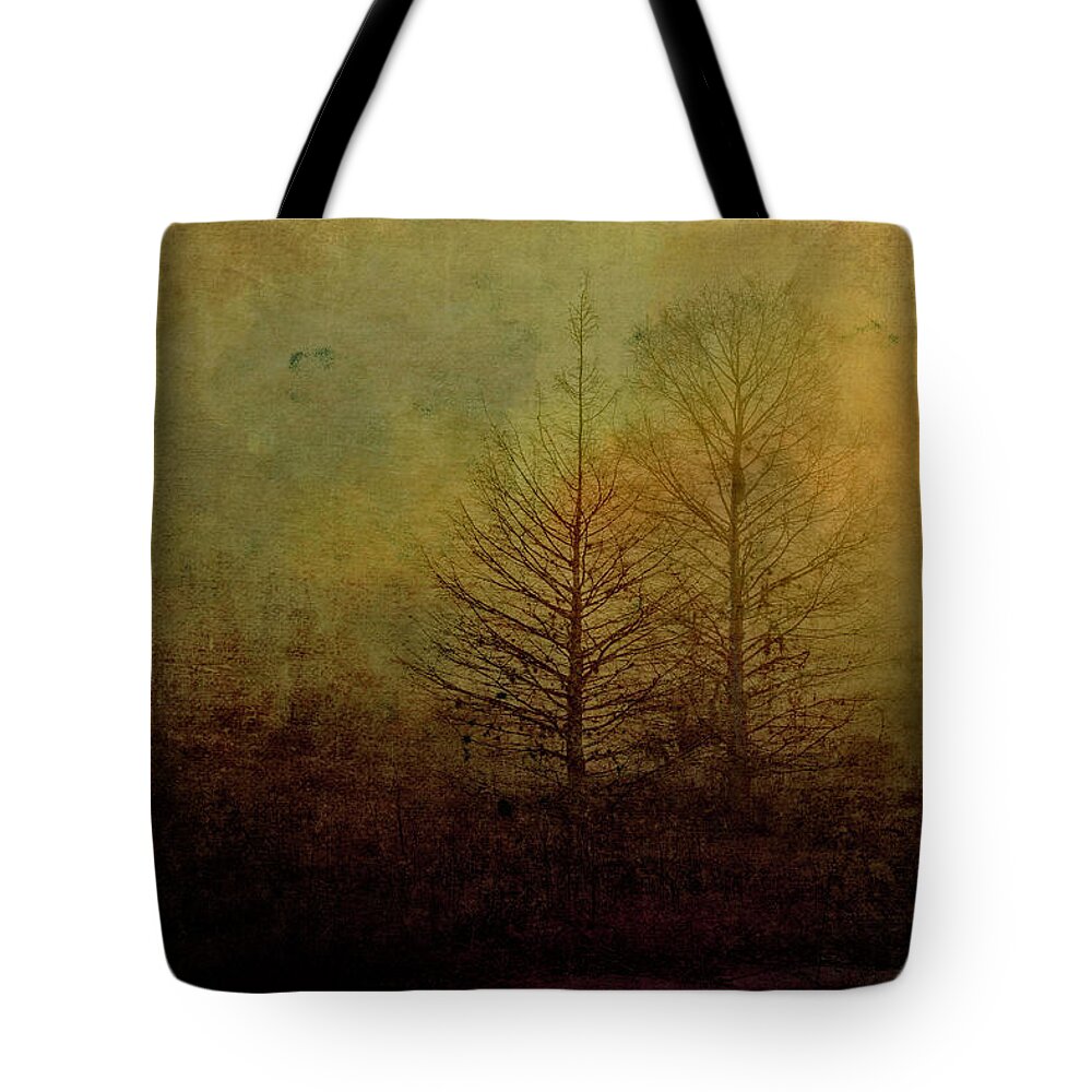 Bare Tote Bag featuring the photograph Before Spring by Pete Rems