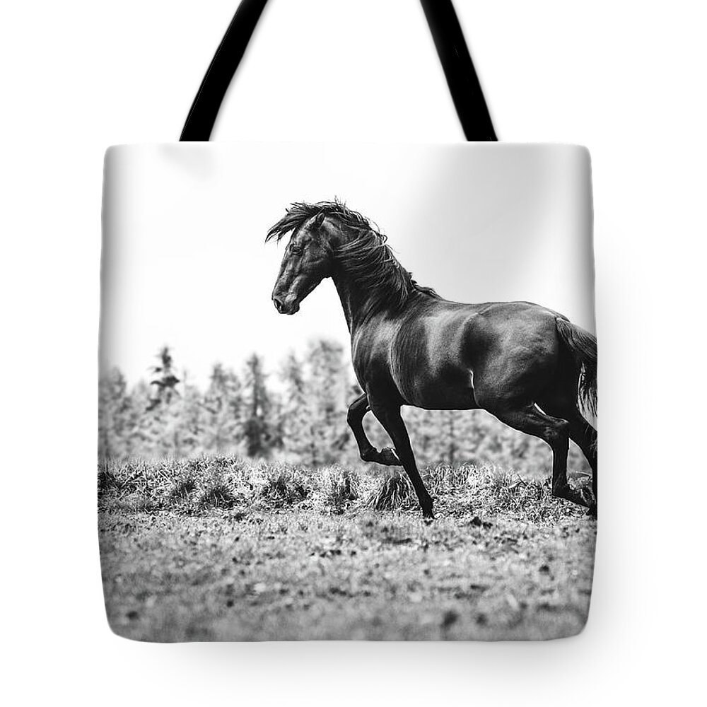 Photographs Tote Bag featuring the photograph Believe III - Horse Art by Lisa Saint