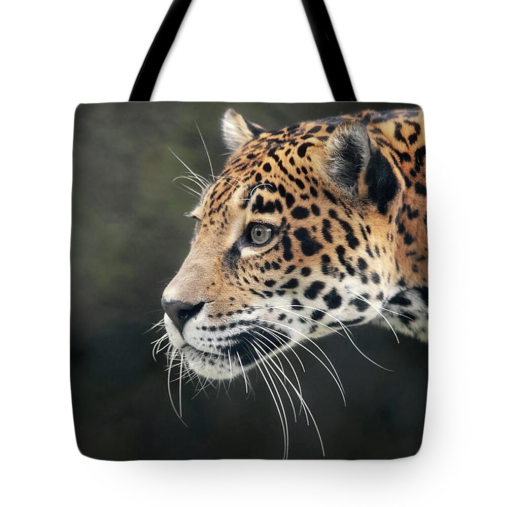 Cat Tote Bag featuring the photograph Bella On The Prowl by Elaine Malott